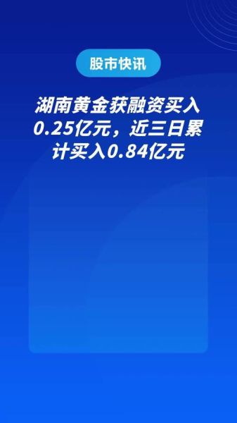 湖南黄金股票怎么样_湖南黄金股票值得长期持有吗-第2张图片-俊逸知识馆 湖南黄金股票怎么样_湖南黄金股票值得长期持有吗-第2张图片-俊逸知识馆