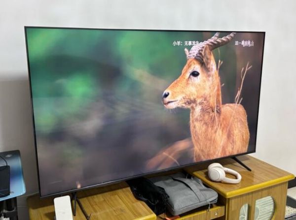 tcl屏幕怎么样_tcl屏幕优缺点-第1张图片-俊逸知识馆