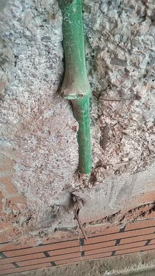 公牛水管怎么样_公牛水管质量好吗-第2张图片-俊逸知识馆