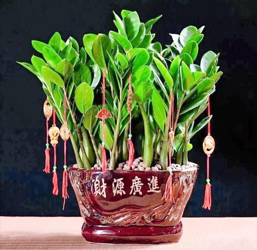 招财宝怎么样_招财宝安全吗-第3张图片-俊逸知识馆 招财宝怎么样_招财宝安全吗-第3张图片-俊逸知识馆