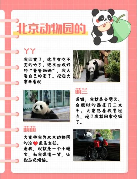 北京野生动物园门票价格_北京野生动物园门票怎么买-第1张图片-俊逸知识馆 北京野生动物园门票价格_北京野生动物园门票怎么买-第1张图片-俊逸知识馆