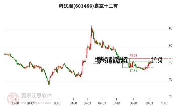 科沃斯股票值得长期持有吗_科沃斯股价走势分析-第1张图片-俊逸知识馆