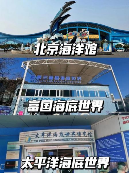 北京三个海洋馆哪个好_北京海洋馆推荐-第1张图片-俊逸知识馆 北京三个海洋馆哪个好_北京海洋馆推荐-第1张图片-俊逸知识馆