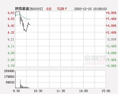 陕西黑猫股票行情_陕西黑猫未来走势如何-第1张图片-俊逸知识馆