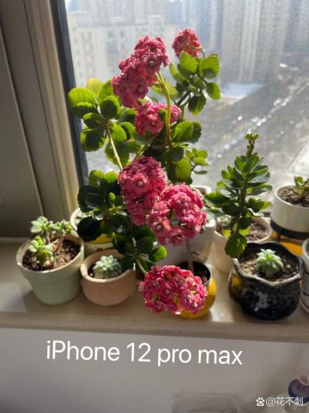 小米6拍照怎么样_小米6拍照评测-第1张图片-俊逸知识馆 小米6拍照怎么样_小米6拍照评测-第1张图片-俊逸知识馆