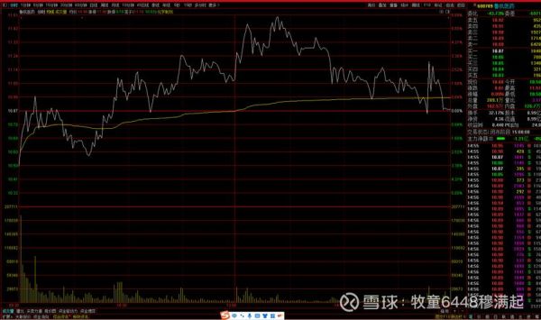 鲁抗医药股票值得买吗_鲁抗医药股票未来走势-第1张图片-俊逸知识馆