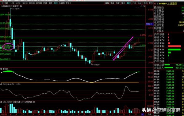 600666股票怎么样_未来走势分析-第2张图片-俊逸知识馆
