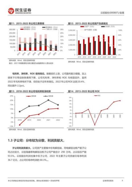 云铝股份股票值得长期持有吗_云铝股份未来走势如何-第1张图片-俊逸知识馆