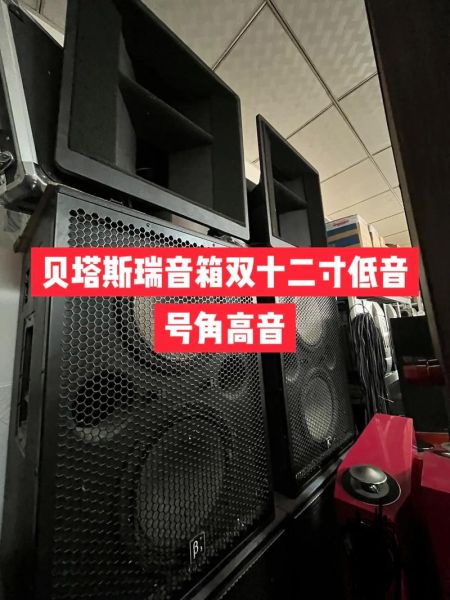 贝塔斯瑞音响怎么样_贝塔斯瑞音响值得买吗-第3张图片-俊逸知识馆