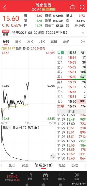 雅化集团股票还能买吗_雅化集团股价走势分析-第1张图片-俊逸知识馆