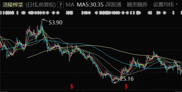涪陵榨菜股票值得长期持有吗_涪陵榨菜股票未来走势如何-第1张图片-俊逸知识馆 涪陵榨菜股票值得长期持有吗_涪陵榨菜股票未来走势如何-第1张图片-俊逸知识馆