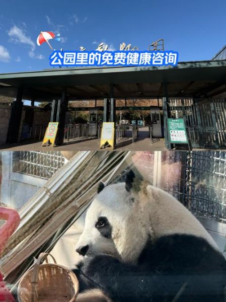 北京动物园天气_北京动物园适合穿什么衣服-第3张图片-俊逸知识馆