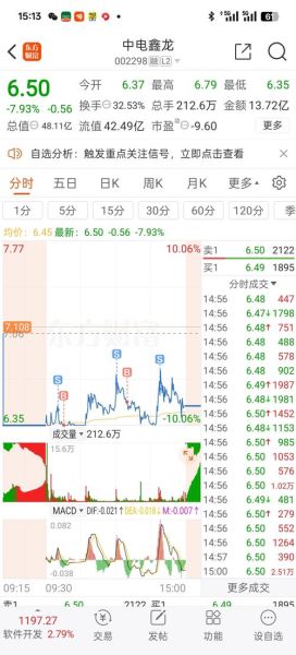 中电鑫龙股票怎么样_值得长期持有吗-第1张图片-俊逸知识馆