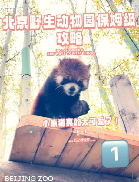 北京动物园几点开门_北京动物园开放时间-第1张图片-俊逸知识馆 北京动物园几点开门_北京动物园开放时间-第1张图片-俊逸知识馆