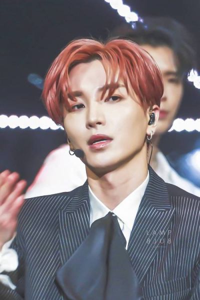 利特怎么样_利特优缺点全解析-第1张图片-俊逸知识馆 利特怎么样_利特优缺点全解析-第1张图片-俊逸知识馆