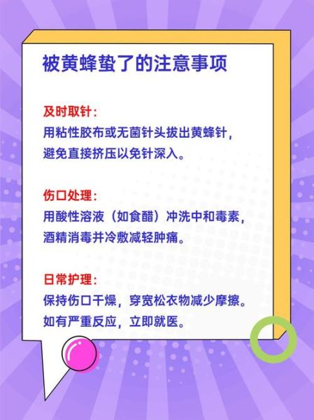 黄蜂怎么驱赶_黄蜂蜇了怎么办-第1张图片-俊逸知识馆 黄蜂怎么驱赶_黄蜂蜇了怎么办-第1张图片-俊逸知识馆
