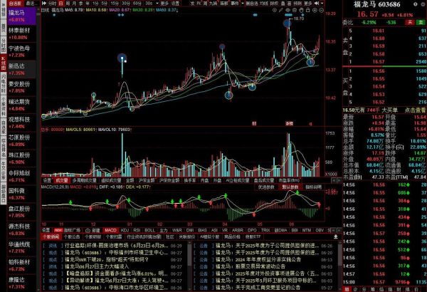 福龙马股票值得长期持有吗_福龙马股票未来走势如何-第1张图片-俊逸知识馆 福龙马股票值得长期持有吗_福龙马股票未来走势如何-第1张图片-俊逸知识馆