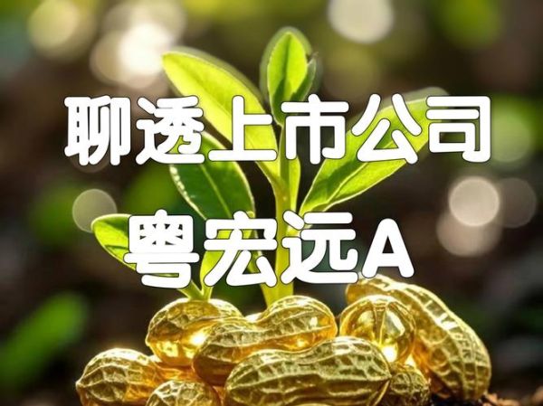 粤宏远股票怎么样_粤宏远股票值得长期持有吗-第3张图片-俊逸知识馆