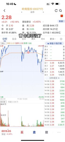 岭南股份股票怎么样_岭南股份值得长期持有吗-第2张图片-俊逸知识馆