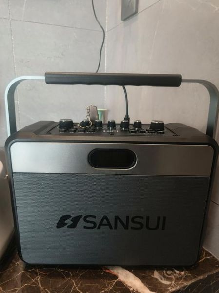 山水的音响怎么样_山水的音响值得买吗-第2张图片-俊逸知识馆